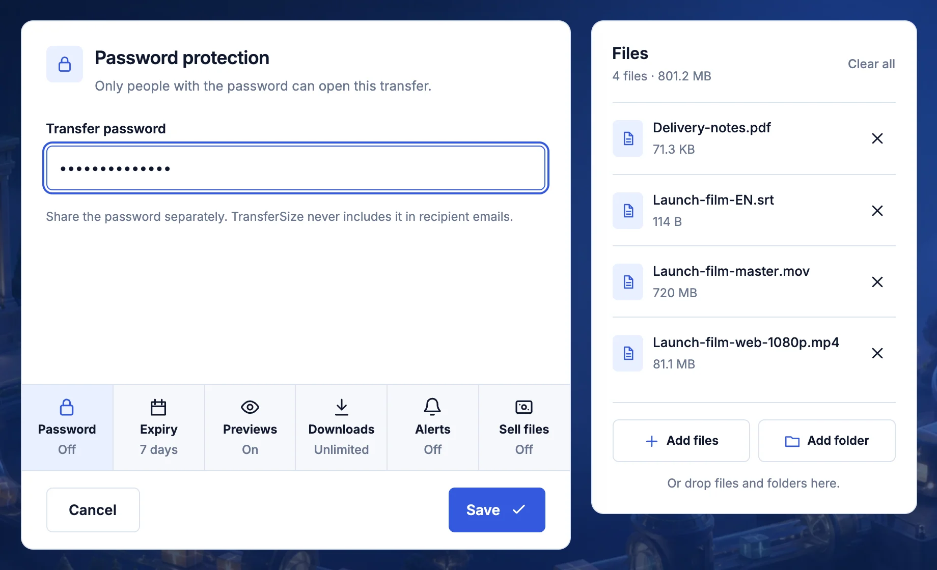 Password protection panel in the TransferSize uploader with a transfer password entered